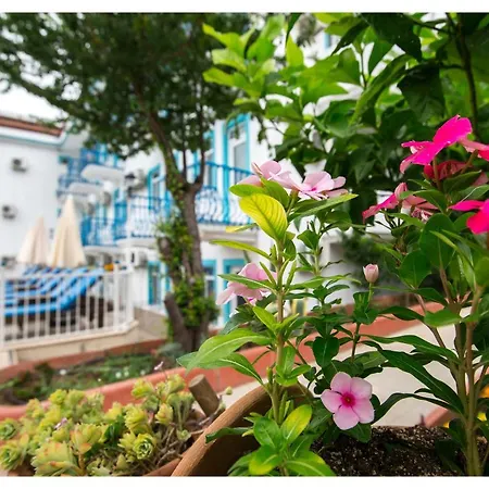 Otel Mavi Yaprak *