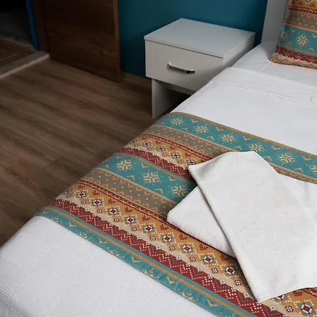 Mavi Yaprak 厄吕代尼兹